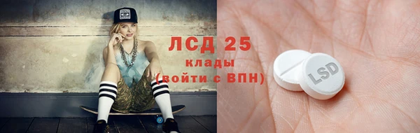 прущий лед Алзамай