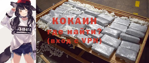 прущий лед Алзамай