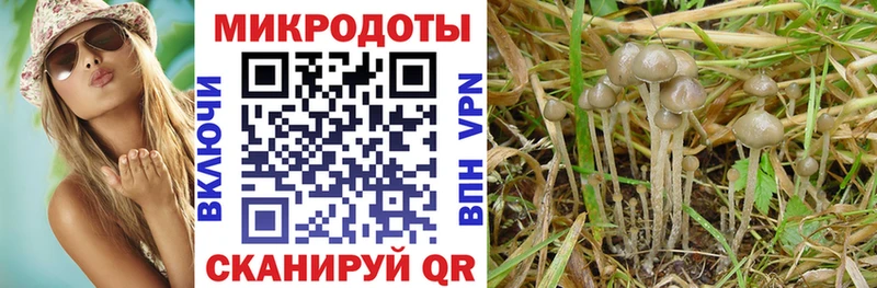 цена наркотик  нарко площадка Telegram  Псилоцибиновые грибы ЛСД  Фролово 