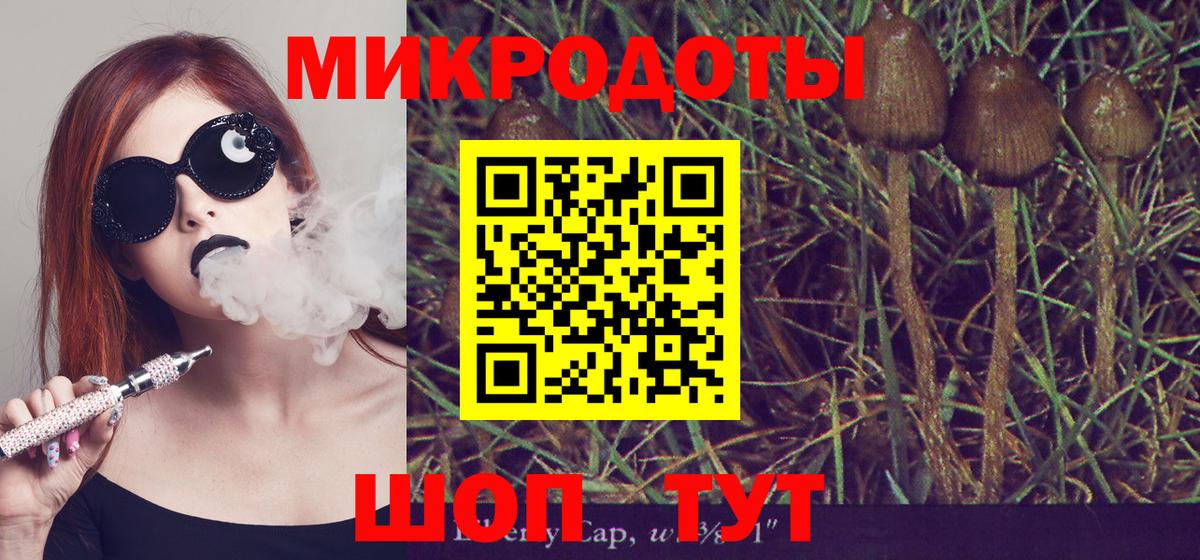 Фролово  как найти закладки  Вход с VPN  Псилоцибиновые грибы ЛСД  Галлюциногенные грибы Psilocybe 