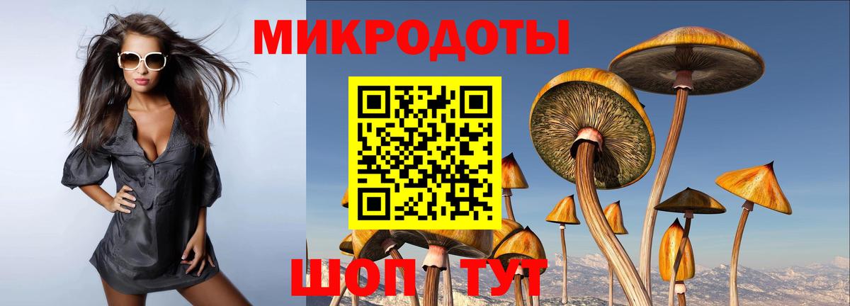 Псилоцибиновые грибы Cubensis Фролово
